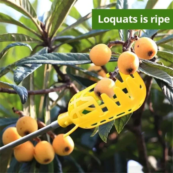 Farm Garden Picking Tools Deep Basket Fruit Picker - Image 4